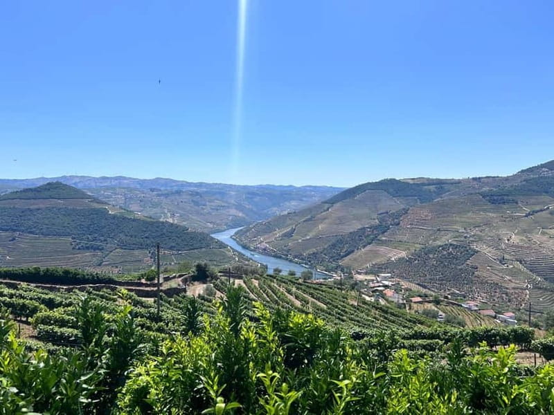 Porto: Douro Valley Tour with 3 Wineries and Lunch - Miradouro São Cristovão: a 15-minute photo break that stays useful