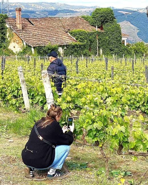 Porto: Douro Valley Tour with 3 Wineries and Lunch - Sabrosa Lunch with Wine Pairing: where the day becomes real