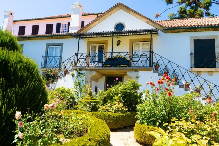 Porto: Douro Valley Tour with Lunch, Boat Cruise & Tastings - Pinhão and the Douro River Cruise, One Hour of Unfiltered Views