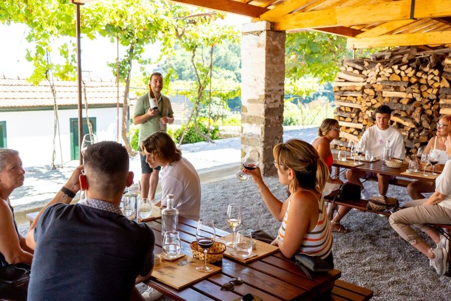 Porto: Douro Valley Tour with Lunch, Boat Cruise & Tastings - Second Winery Visit and Olive Oil Tasting: Extra Flavor Layers