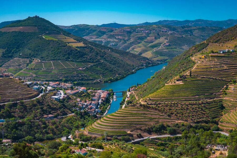 Porto: Douro Valley Tour with Lunch, Boat Cruise & Tastings - N222 Road Photo Stops and the Trip Back to Porto