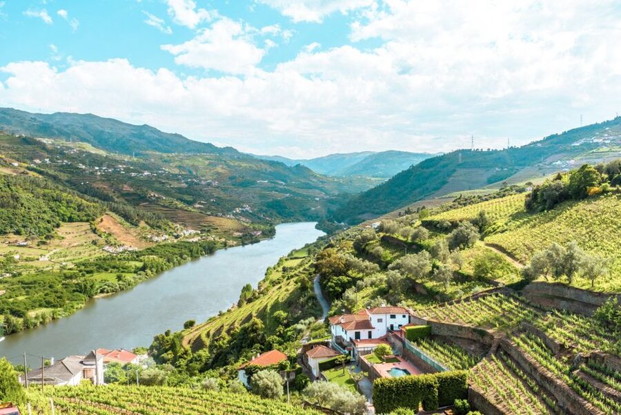 Porto: Douro Valley Tour with Wine Tasting, Cruise and Lunch - Key things I’d circle before you go