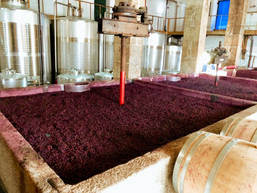 Porto: Douro Valley Tour with Wine Tasting, Cruise and Lunch - The real quality drivers: guides and pacing