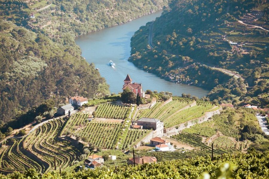 Porto: Douro Valley Tour with Wine Tasting, Cruise and Lunch - Porto to the Douro in one long, wine-filled day