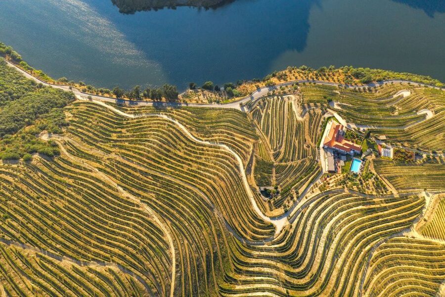 Porto: Douro Valley Tour with Wine Tasting, Cruise and Lunch - Winery stop two: more Port, more comparisons, and new perspectives