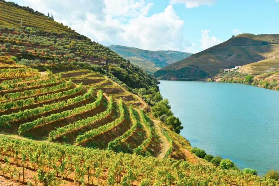 Porto: Douro Valley Tour with Wine Tasting, Cruise and Lunch - Sabrosa photo stop, then back to Porto