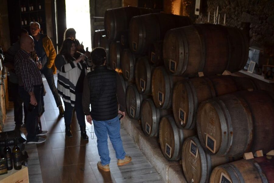 Porto: Douro Valley Vineyards Tour with Lunch & River Cruise - Porto to Douro Valley: The Real Reason This Tour Works