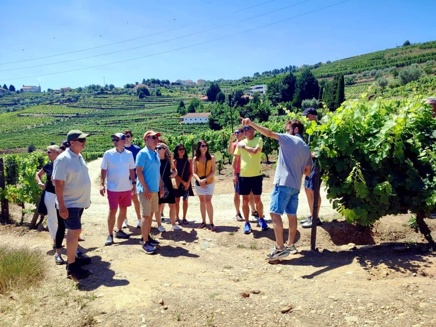 Porto: Douro Valley Vineyards Tour with Lunch & River Cruise - Lamego Wine Tasting: Your First Window Into Port Culture