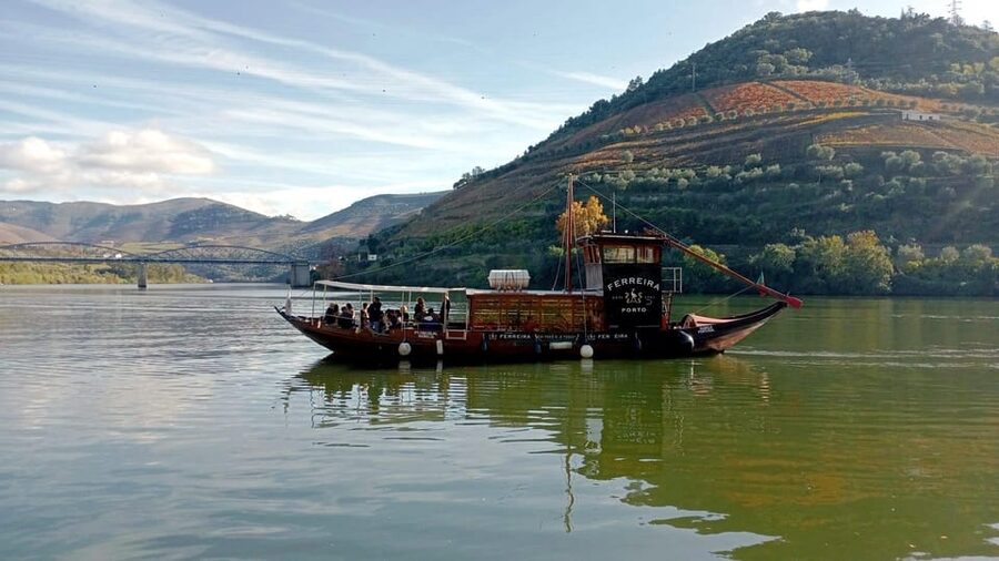 Porto: Douro Valley Vineyards Tour with Lunch & River Cruise - Comfort, Timing, and Getting Back to Porto