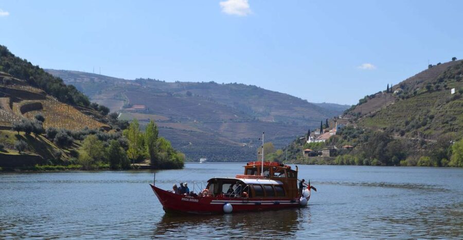 Porto: Douro Valley Vineyards Tour with Lunch & River Cruise - Getting to the Douro: The Drive Part You Do Not Want to Waste