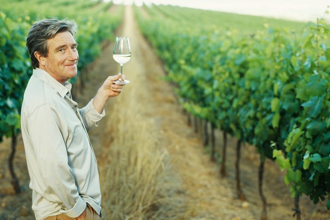 Porto: Douro Valley Wine Tour Including Lunch - A 7:30 am start that packs a lot into 10 hours