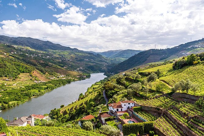 Porto: Douro Valley Wine Tour Including Lunch - Lunch in the Douro Valley: the included 3-course meal with wine