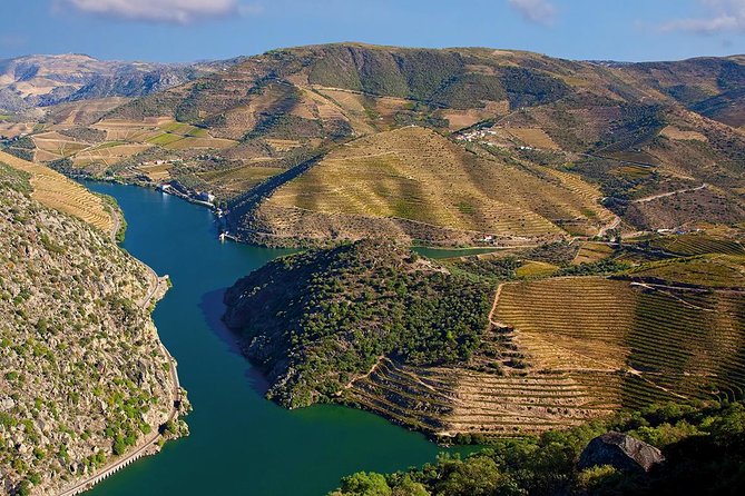 Porto: Douro Valley Wine Tour Including Lunch - Who this tour suits best, and who may feel disappointed