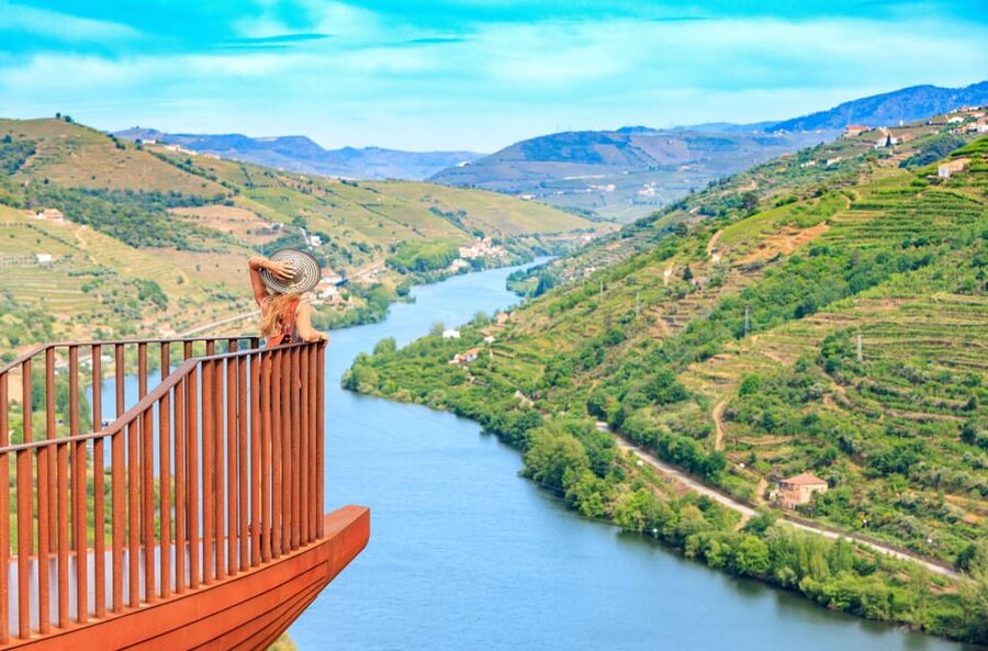 Porto: Douro Valley Wine Tour with a Sommelier & Boat Trip - The road to the Douro Valley, N222 viewpoints and short photo stops