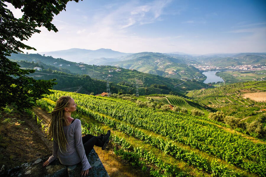 Porto: Douro Valley Wine Tour with a Sommelier & Boat Trip - Lunch in Pinhão: mixed diets, DOC wine pairing, and no stress