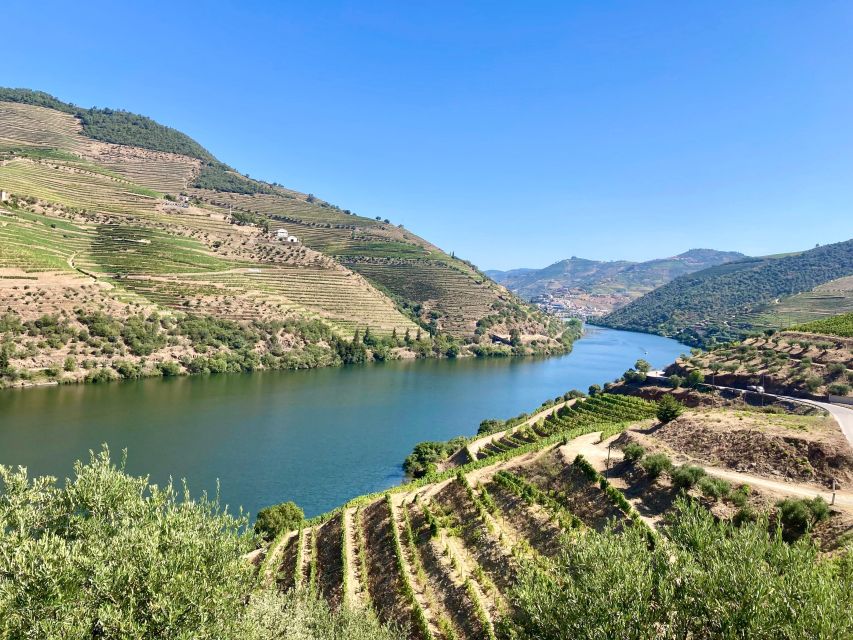 Porto: Douro Valley Wine Tour with Tastings, Boat, and Lunch - Key things to know before you go