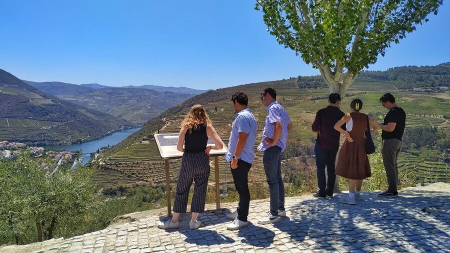 Porto: Douro Valley Wine Tour with Tastings, Boat, and Lunch - Port producer morning: tastings that teach you what Vintage means