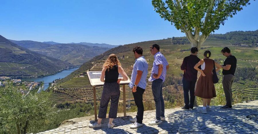 Porto: Douro Valley Wine Tour with Tastings, Boat, and Lunch - Pinhão boat cruise: Port wine from the water
