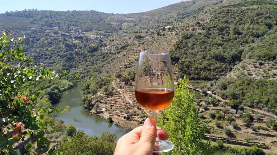 Porto: Douro Valley Wine Tour with Tastings, Boat, and Lunch - Two winery tastings, multiple Port styles: how to get the most from the pours