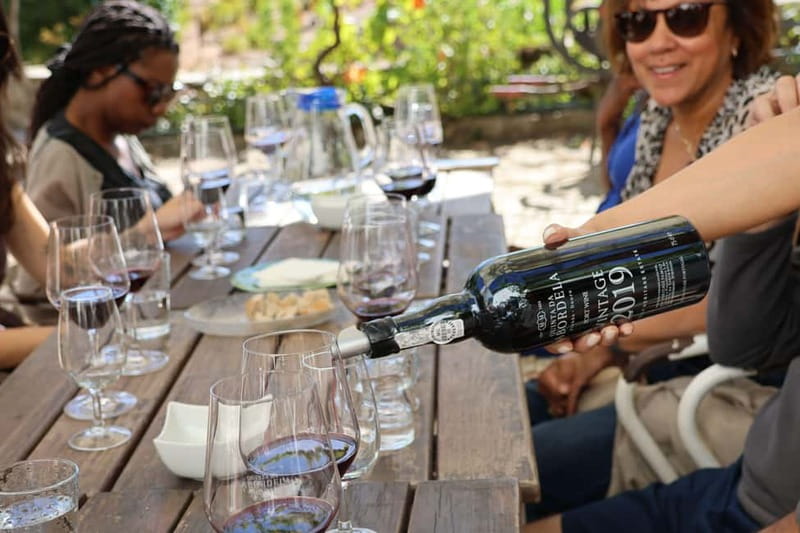 Porto: Douro Valley Wine Tour with Tastings, Lunch & Cruise - Key Highlights You Should Know