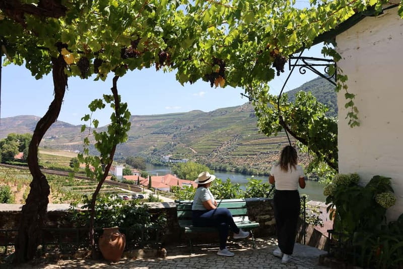 Porto: Douro Valley Wine Tour with Tastings, Lunch & Cruise - First Winery Stop: Family Estates and Real Tastings