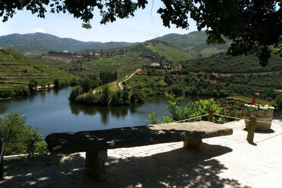 Porto: Douro Valley Wine Tour - Price and timing: what you are paying for in a 10-hour day