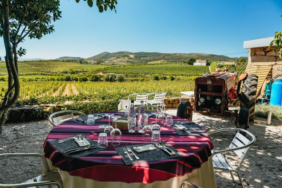 Porto: Douro Valley with Winery Lunch, Tastings & Cruise - Second premium winery: Quinta da Roeda, Quinta São Luiz, and big-producer style