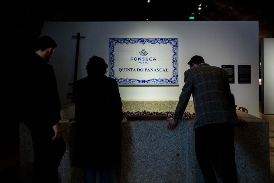 Porto: Fonseca Cellar Tour & Fado Show with Optional Dinner - Should you book the Fonseca Cellar Tour with Fado (and optional dinner)?