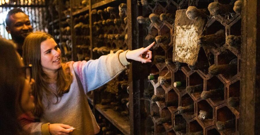 Porto: Food & Wine Tasting Walking Tour with Port Wine Cave - First stop: Jardim do Morro, then straight to the food mood