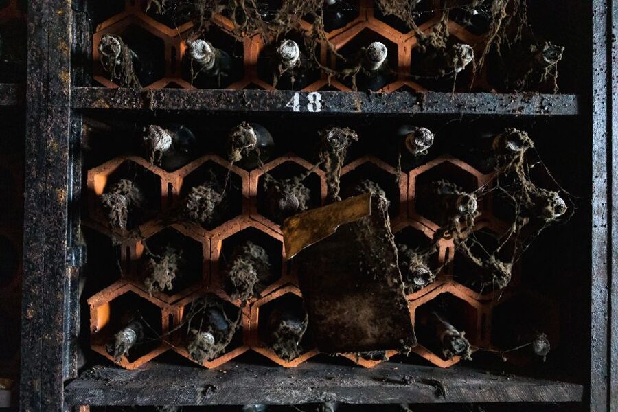 Porto: Food & Wine Tasting Walking Tour with Port Wine Cave - The 3-Port tasting flight: taste in order, learn in plain language
