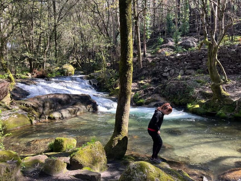 Porto: Forest Waterfalls & Roman Ruins Trail Tour - Key things you should know before you go