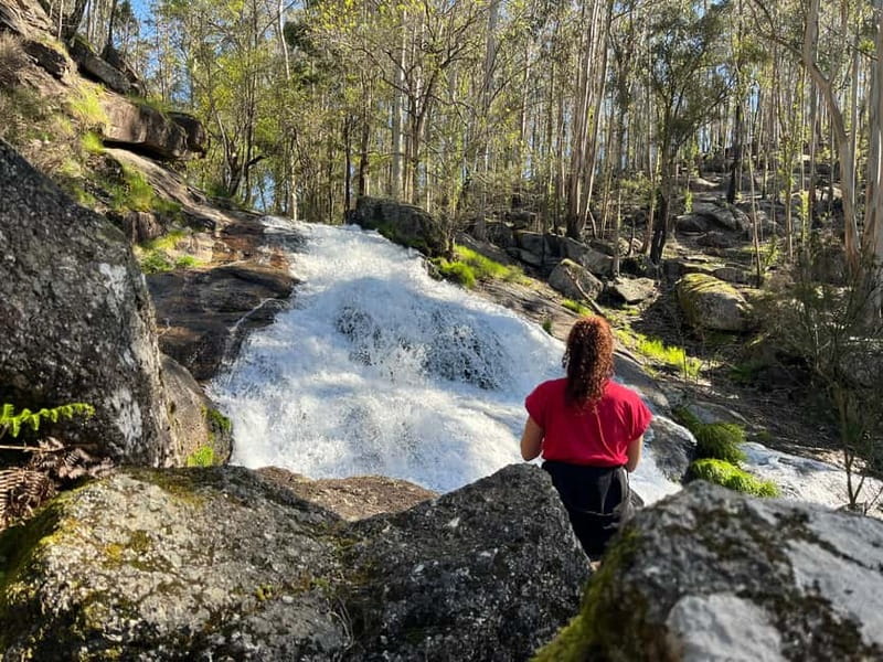 Porto: Forest Waterfalls & Roman Ruins Trail Tour - Forest walking to Quedas da Fervença, plus the rural-life stories
