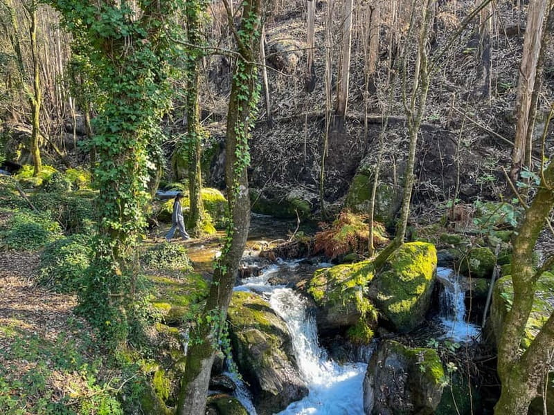 Porto: Forest Waterfalls & Roman Ruins Trail Tour - Practical matters: shoes, snacks, weather, and moderate fitness