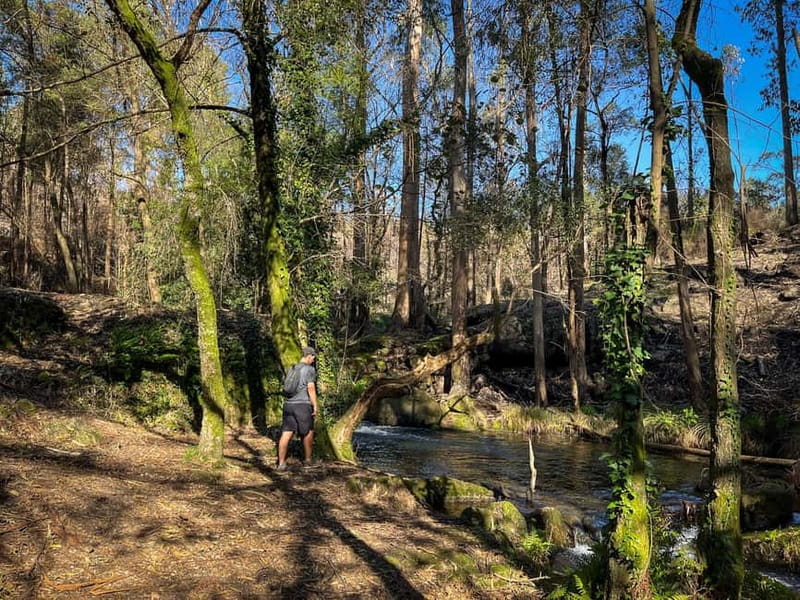 Porto: Forest Waterfalls & Roman Ruins Trail Tour - Is $76 good value for Portos hidden history and waterfalls?