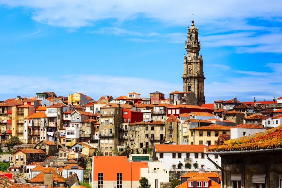 Porto: Full-Day All-Inclusive Private City Sightseeing Tour - Six Bridges Cruise: The View You Can Actually Enjoy
