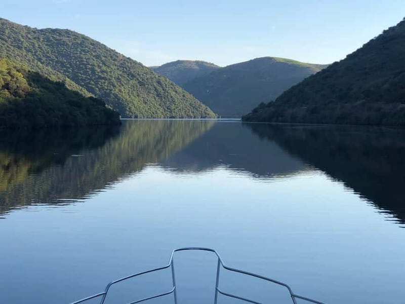 Porto: Full Day Douro River Cruise - 8h - Who this Porto Douro cruise suits best
