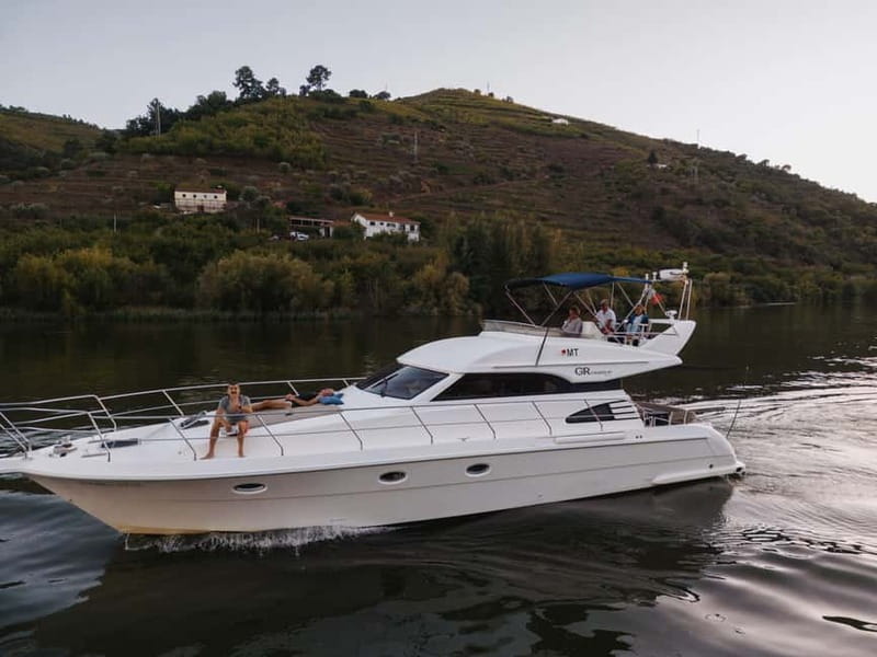 Porto: Full Day Douro River Cruise from Porto to Régua - Key highlights you should care about