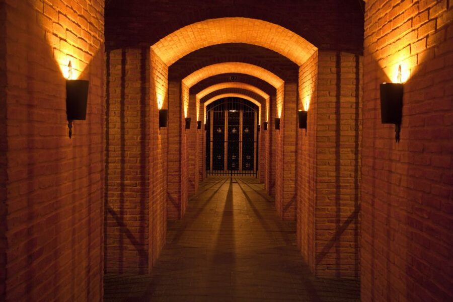 Porto: Graham's Port Lodge Tour with Premium Wine Tastings - Why This Graham’s Port Lodge Tour Feels More Like a Cellar Visit Than a Sip