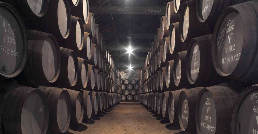 Porto: Graham's Port Lodge Tour with Premium Wine Tastings - How Port Production Makes Sense Once You Walk It