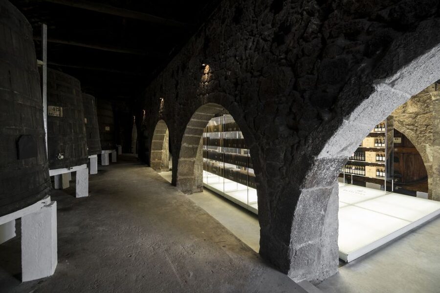 Porto: Guided City Walking Tour & Port Wine Cellar - Why this Porto tour pairs tiles, viewpoints, and Port tastings