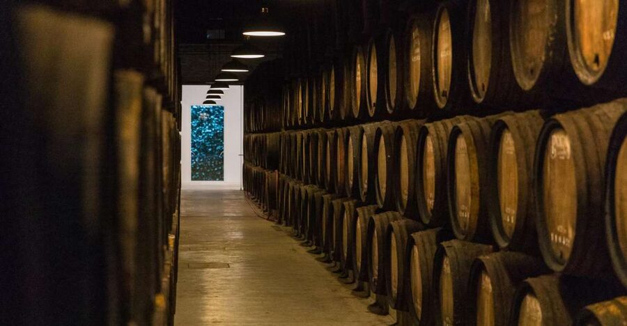 Porto: Guided Tour and Tasting of 3 Port Wines at Poças - The 90 minutes: cellar first, then tasting, then shopping