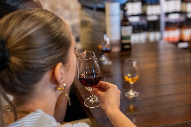 Porto Half-Day Guided Historical Tour with Port Cellar Visit and Tasting - How the route feels in real life: crowds, walking, and language