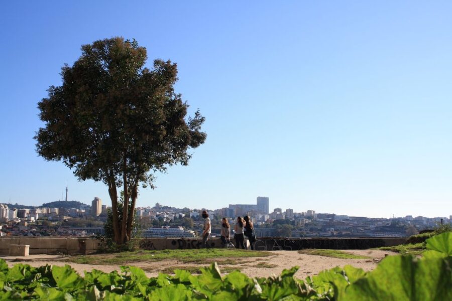 Porto: Half-Day Jewish Tour - Largo do Terreiro and the Ribeira-to-Miragaia story you can feel