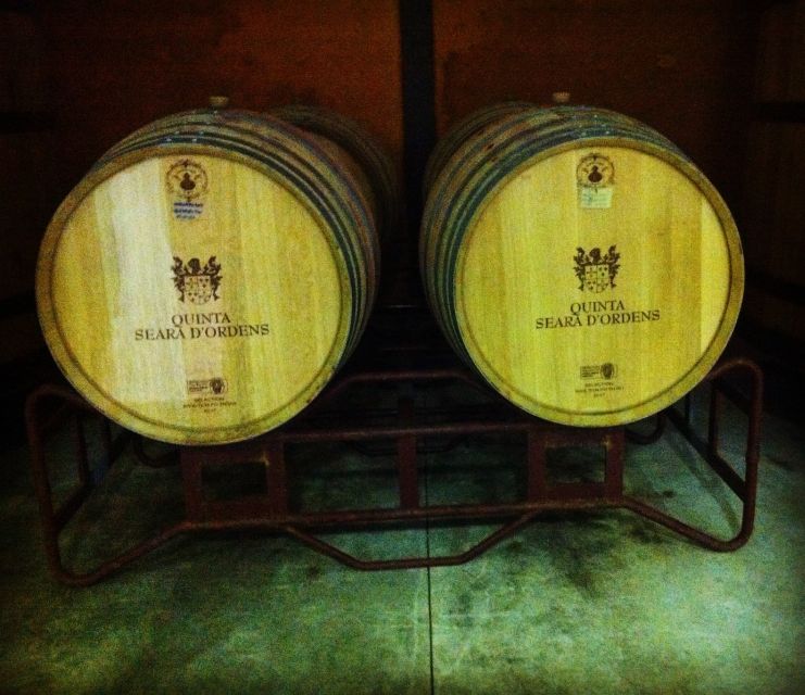Porto: Half-Day Small Group City Tour with port wine tasting - Key things that make this Porto tour worth your time