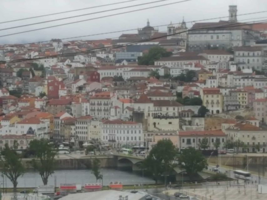 Porto: Half-Day Small Group City Tour with port wine tasting - The Port wine tasting: included, and often the emotional highlight