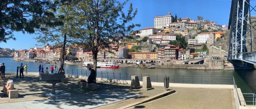 Porto: Half-Day Small Group City Tour with port wine tasting - How the route covers Aliados Avenue and Ribeira in a realistic half day