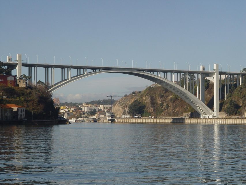 Porto Highlights and Tram - Private Tour - What the guide, David, adds to the experience