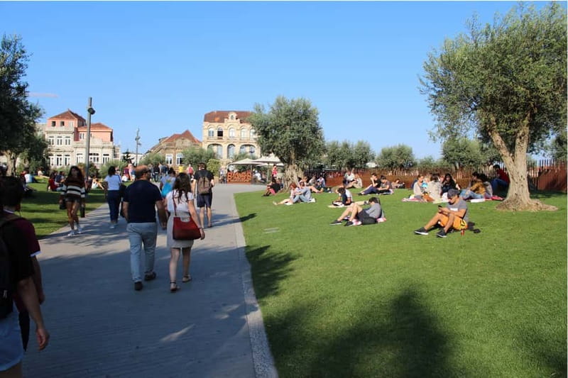 Porto Highlights (Private Walking Tour) - Key highlights in plain terms