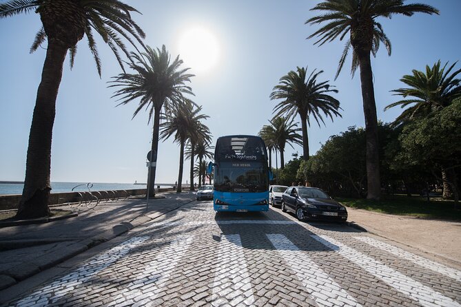 Porto Hop On Hop Off Bus Tour with Wine tasting & Night tour - Should you book the Porto Hop On Hop Off with wine tasting and night tour?
