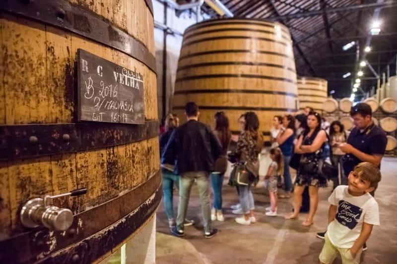 Porto: Magic Train Tour and Port Wine Cellar with Tastings - Key highlights worth knowing